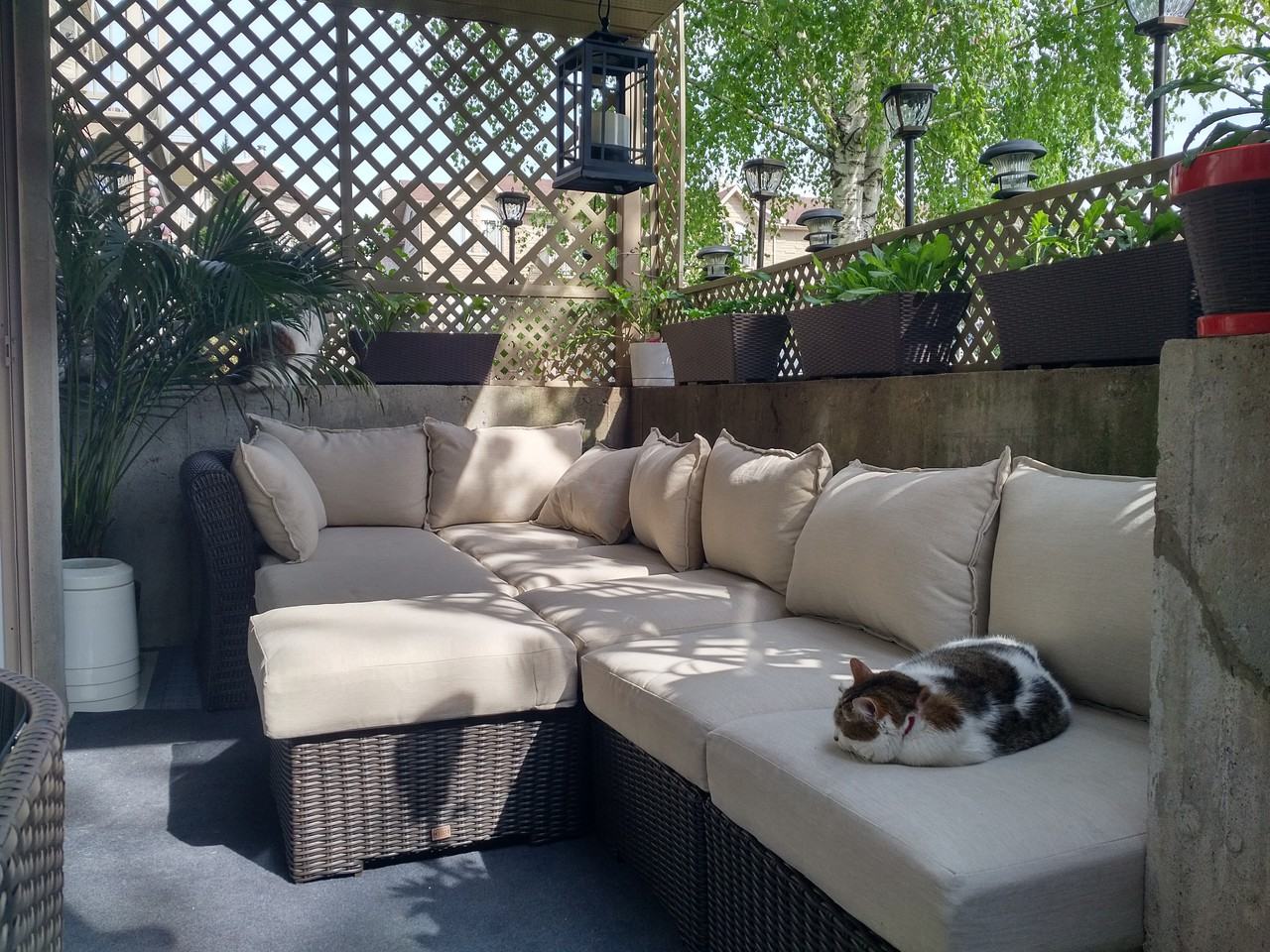 6916 Rue Marie Guyart - Photo 3 of 19