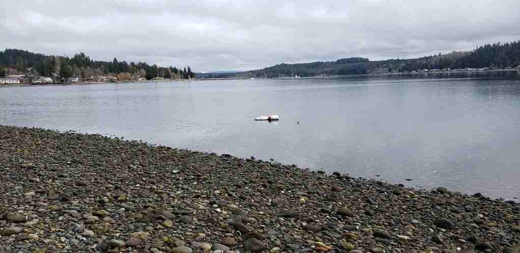 7720 E Grapeview Loop Rd - Photo 5 of 38