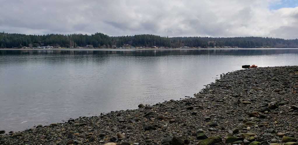 7720 E Grapeview Loop Rd - Photo 6 of 38