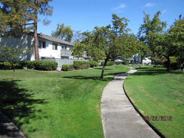 891 Cabot Lane - Photo 2 of 20