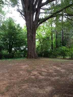 321 Sycamore St - Photo 2 of 3