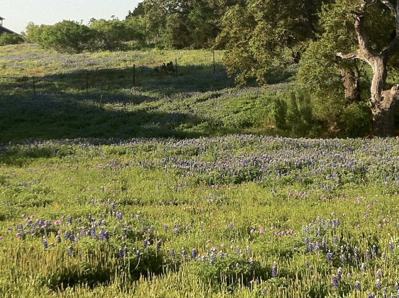 710 Acacia Pkwy - Photo 2 of 26