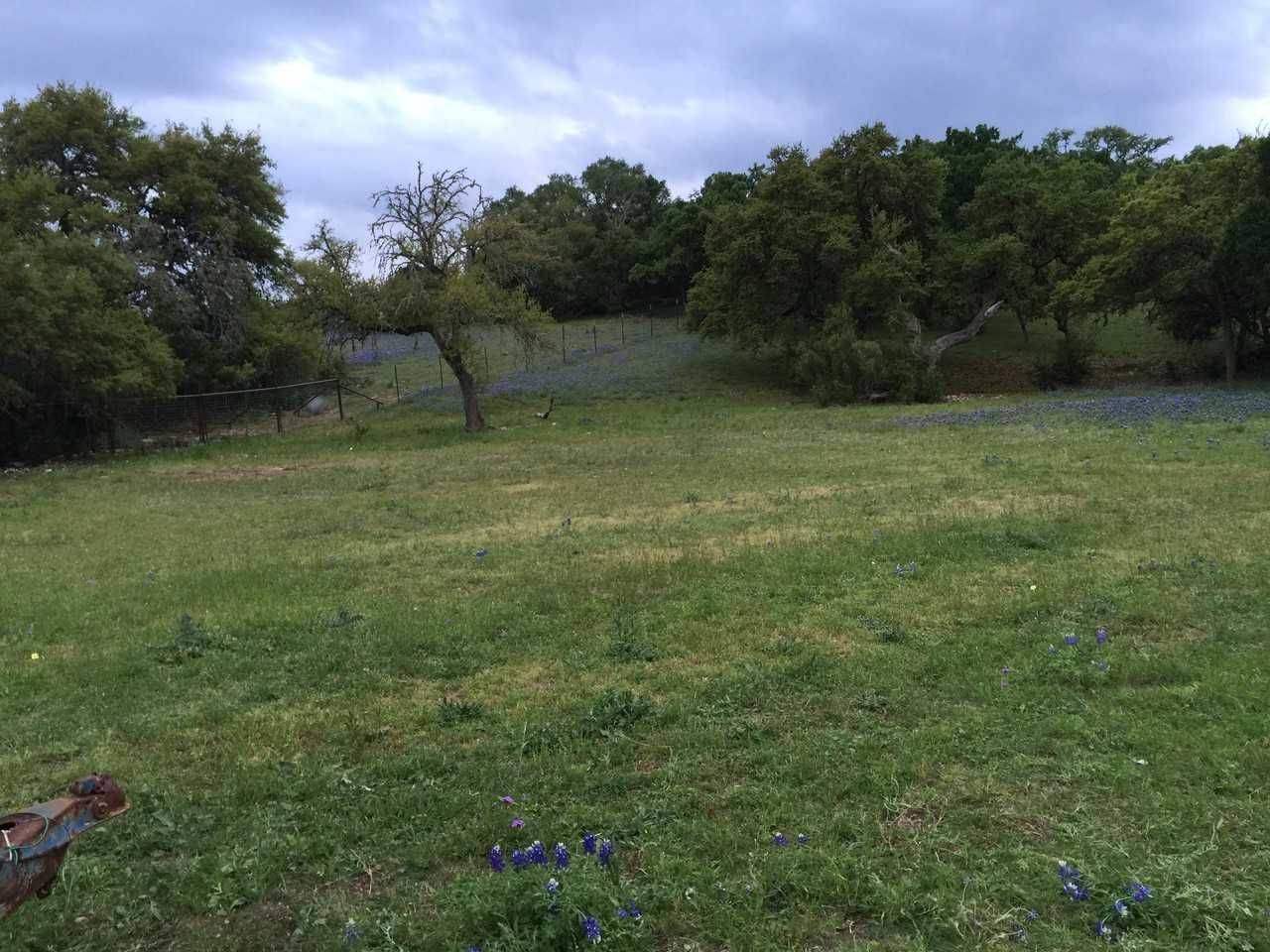 710 Acacia Pkwy - Photo 3 of 26