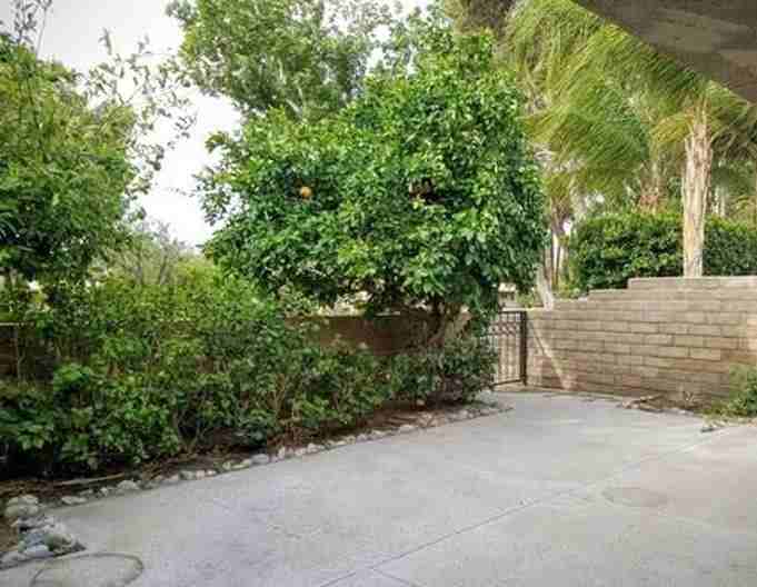 1967 E Sandalwood Dr - Photo 3 of 12