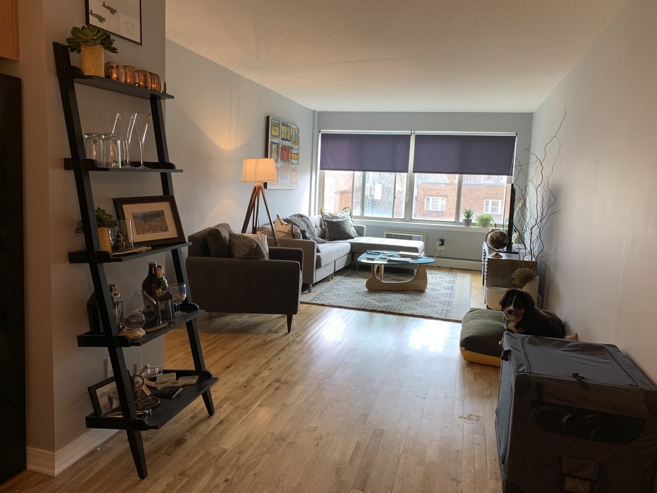 2727 West 43rd Street #405