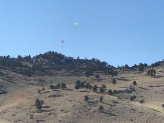 685 Utica Ave - Photo 3 of 32