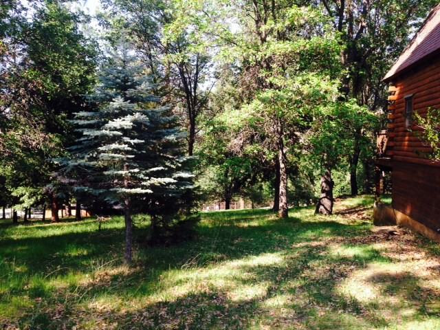 5010 Blue Mountain Rd - Photo 2 of 11