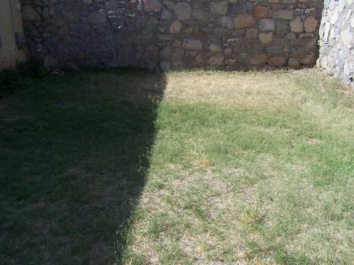 10728 Chert St - Photo 3 of 17