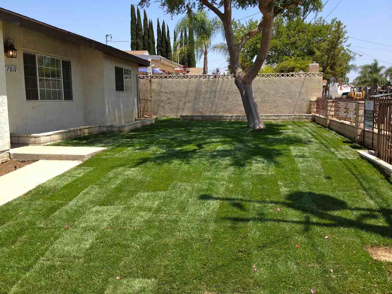 7819 Steddom Dr - Photo 3 of 19