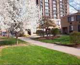 apartments for rent in downtown syracuse syracuse ny 5 rentals available zumper