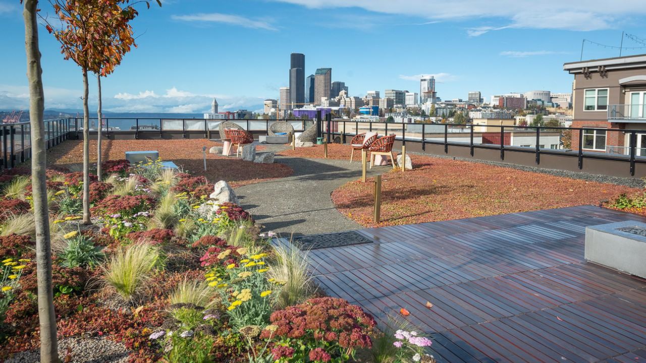 Modera Jackson - Photo 3 of 47