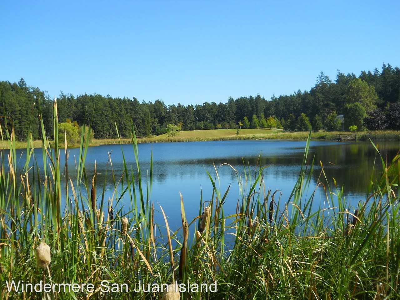 840 Hoffman Cove Rd - Photo 2 of 17