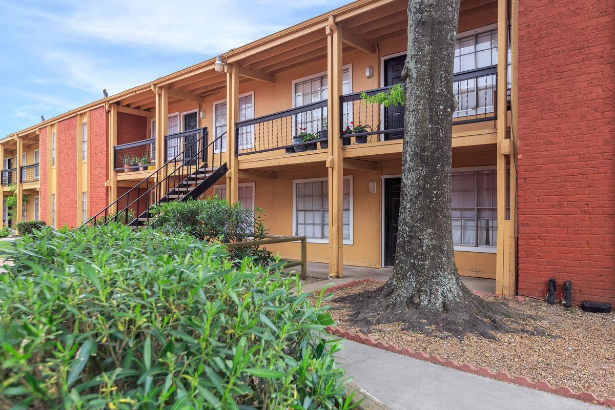 Woodvine - Photo 7 of 50