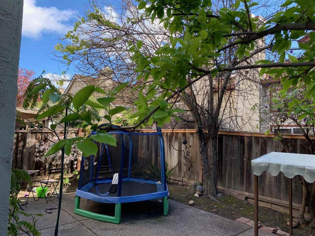 1221 Briarleaf Cir - Photo 3 of 3