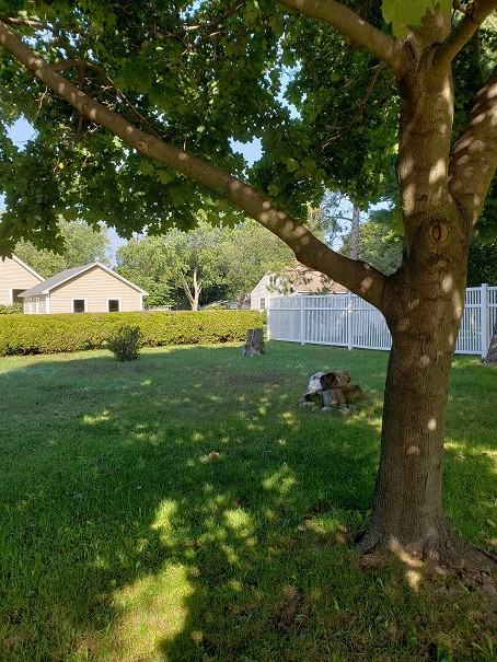 818 Maple St - Photo 2 of 9