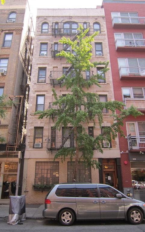 234 Mott Street - Photo 2 of 27