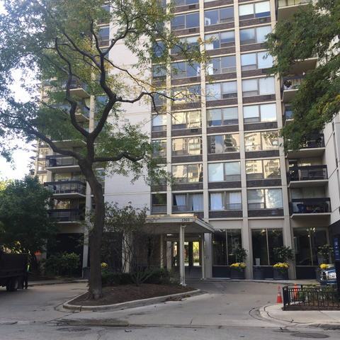 1360 N Sandburg Terrace #310C