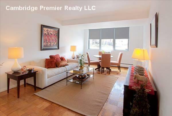 205 Walden Street #234 - Photo 3 of 9