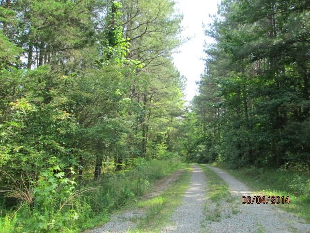 1418 Dorset Rd - Photo 3 of 16