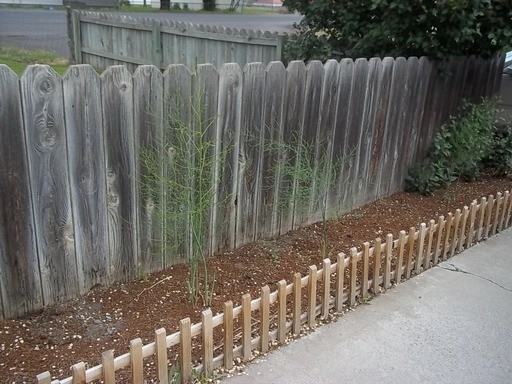 901 Algonquian Ct - Photo 2 of 17