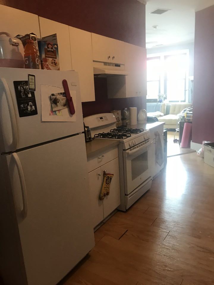 1808 South Blue Island Avenue #205 - Photo 3 of 6