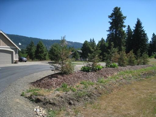 641 Old Cedars Rd - Photo 3 of 22