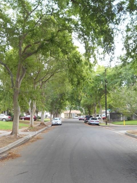 1917 San Gabriel St - Photo 2 of 21