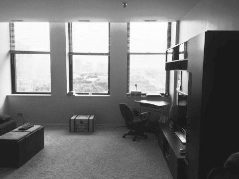 780 South Federal Street #1008