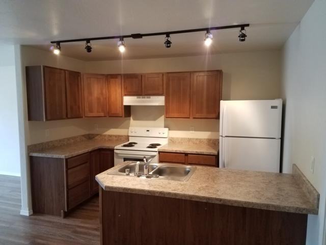 213 Spruce Rd - Photo 5 of 7