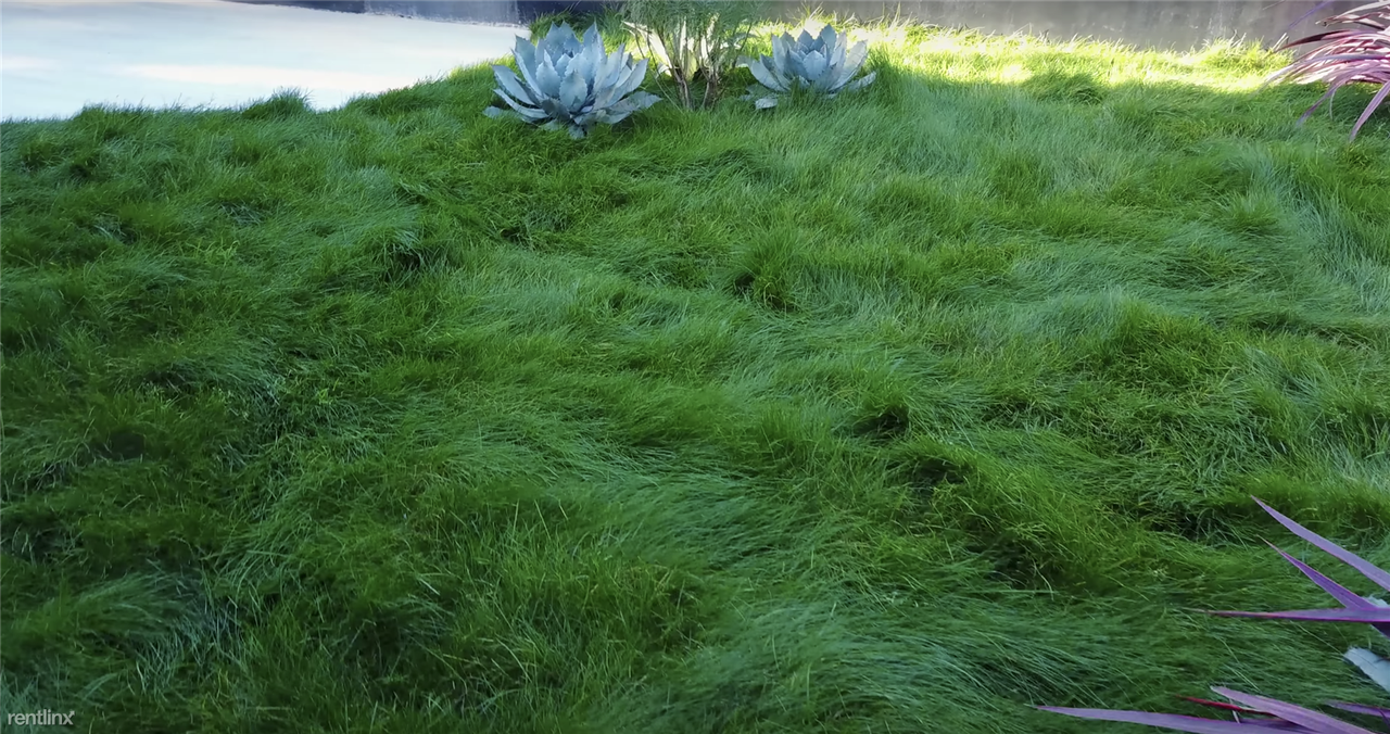 2016 Braeburn Rd - Photo 2 of 50