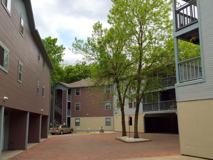 1245 Elder Ave - Photo 1 of 1
