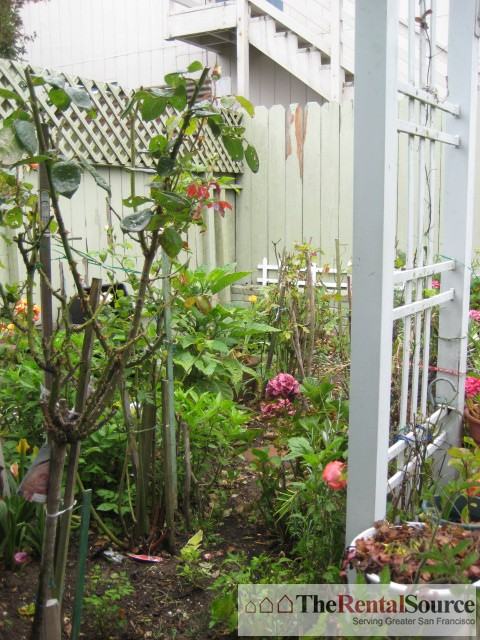 41 Niagara Ave - Photo 3 of 16