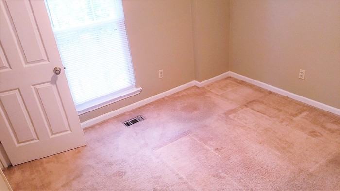 1141 Dearing Downs Dr - Photo 2 of 10