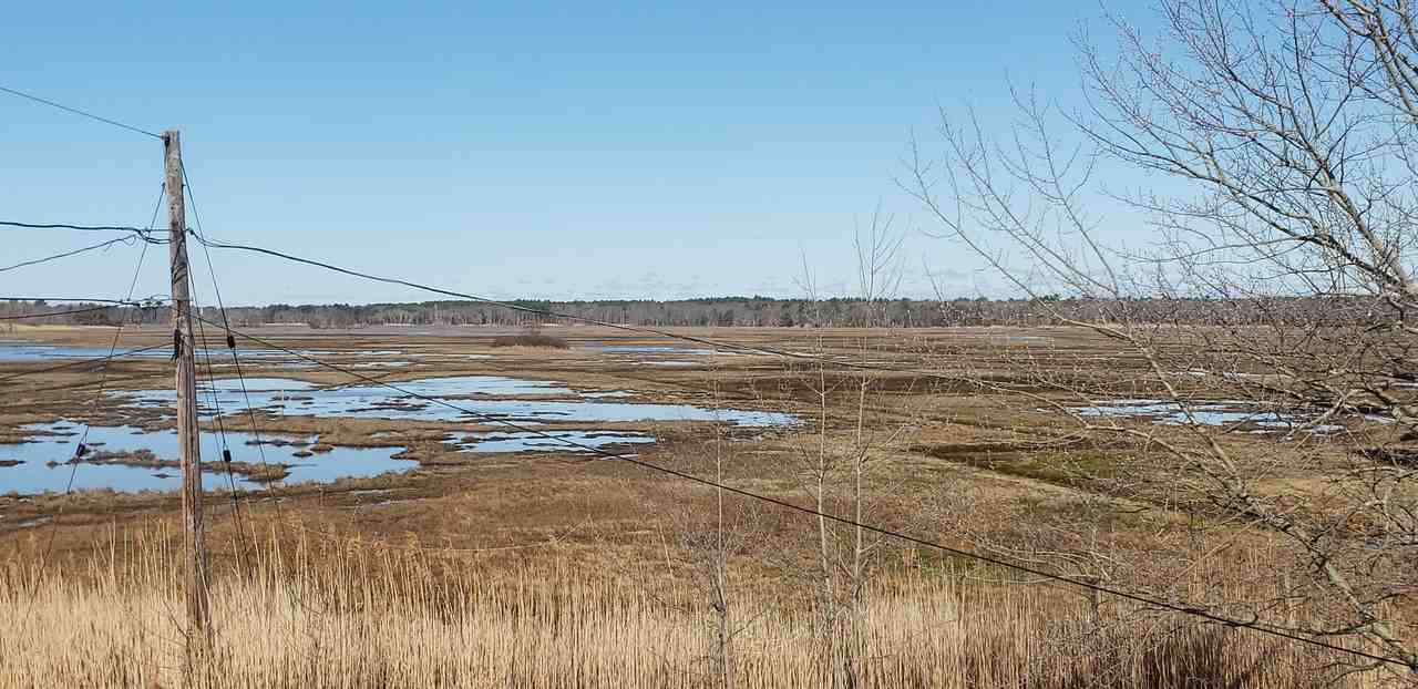 125 North End Blvd #2 - Photo 2 of 19