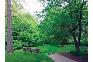 Chimneys of Cradlerock - Photo 3 of 12