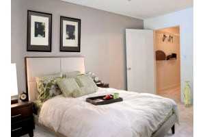 Avalon Run - Photo 3 of 27