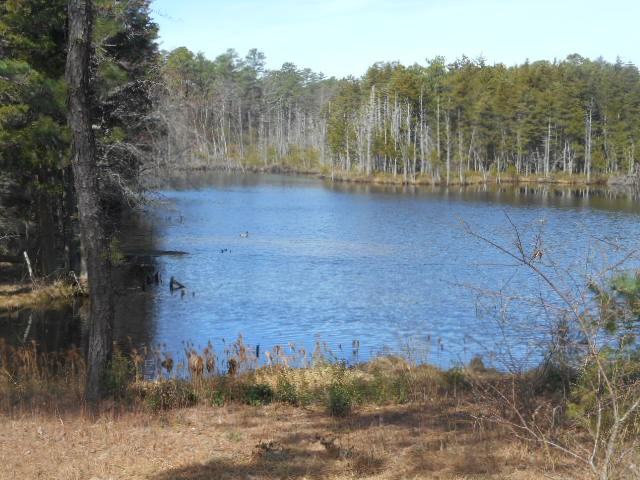 6 Fawn Pl - 55+ Age Qualified Community - Photo 3 of 20