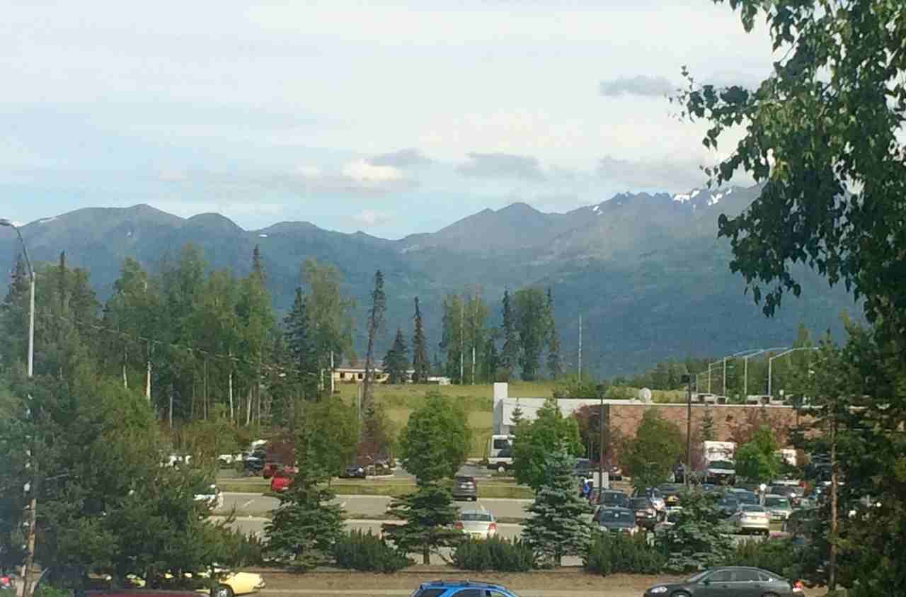 3907 Young St - Photo 3 of 11