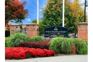 Avalon On Stamford Harbor - Photo 3 of 28