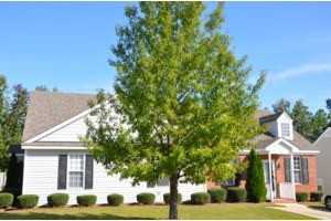 Gresham Hills - Photo 3 of 4