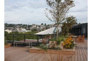 Axis - Photo 2 of 22