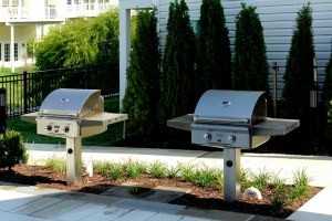 Enclave at Emerson - Photo 3 of 26