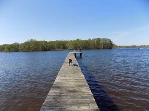 7380 Graves Landing Rd - Photo 3 of 18