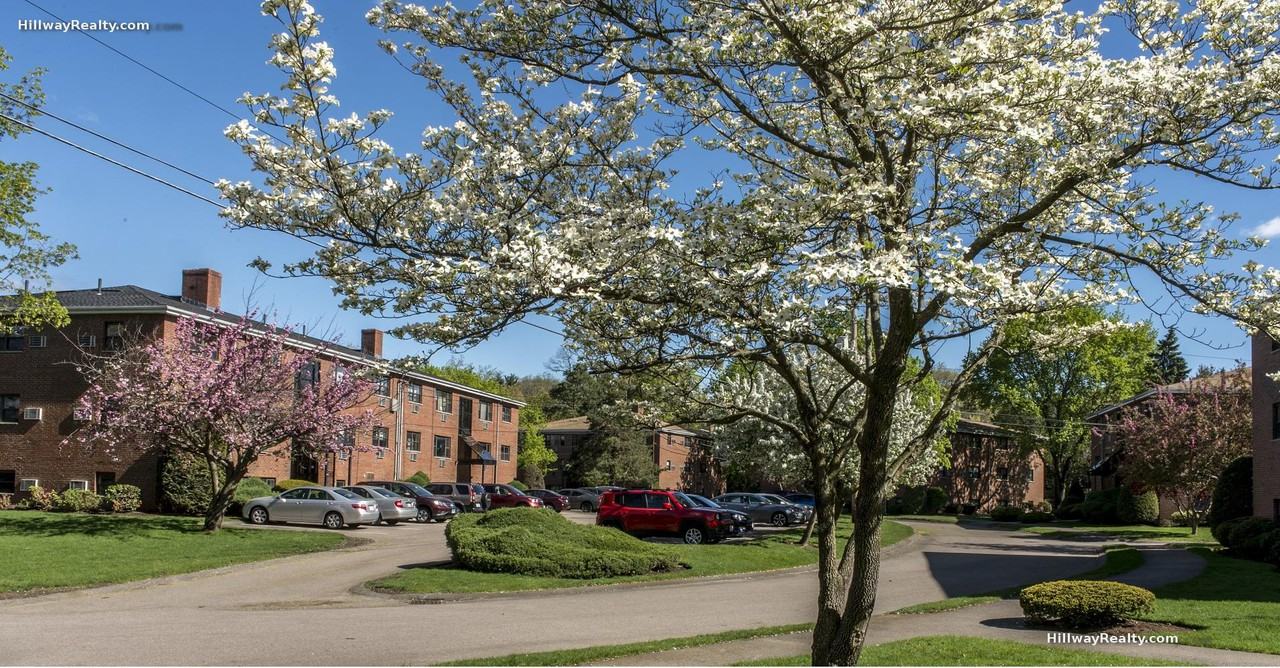 268 Grove St #6 - Photo 2 of 10