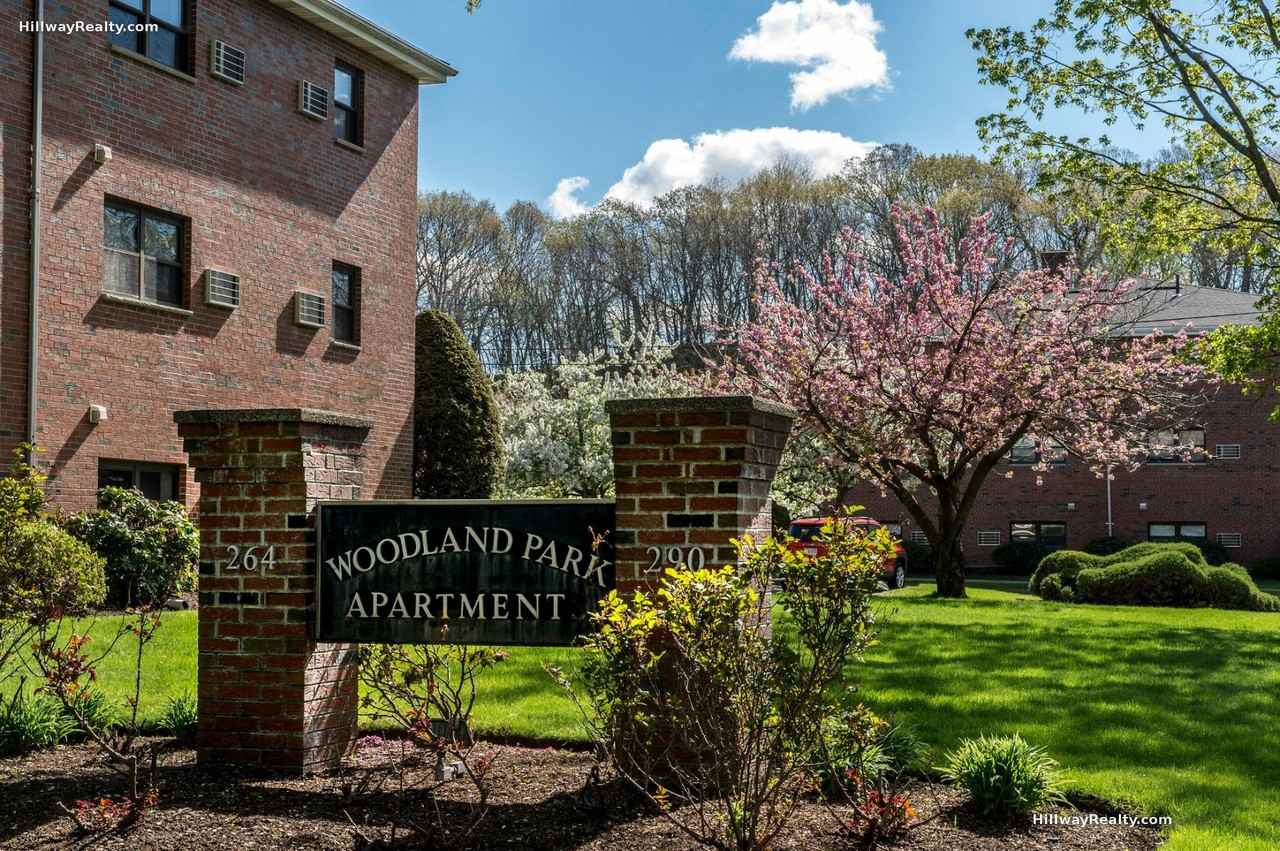 268 Grove St #6 - Photo 3 of 10