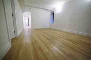 443 E 88th St - Photo 3 of 12