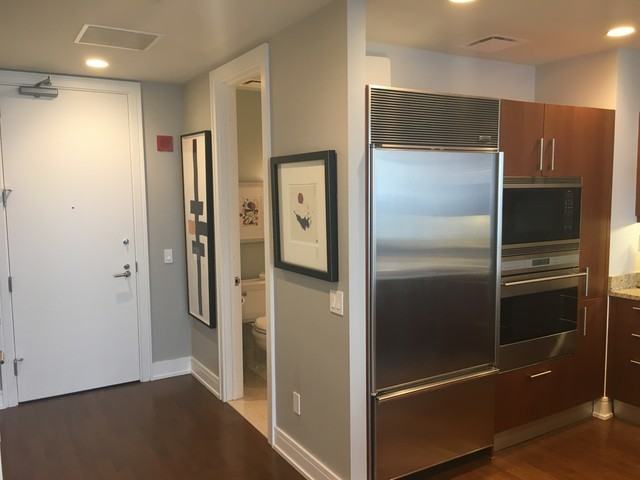 401 N Wabash Ave #58B - Photo 3 of 20