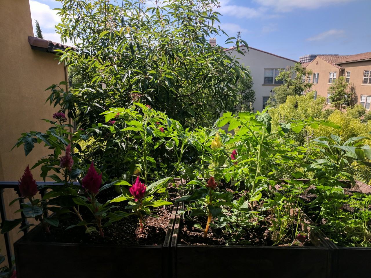 417 Enclave Circle - Photo 3 of 3