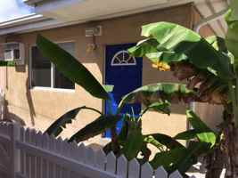 featured image of 6419 2nd Terrace #7