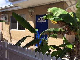 6419 2nd Terrace #7 - Photo 1 of 1